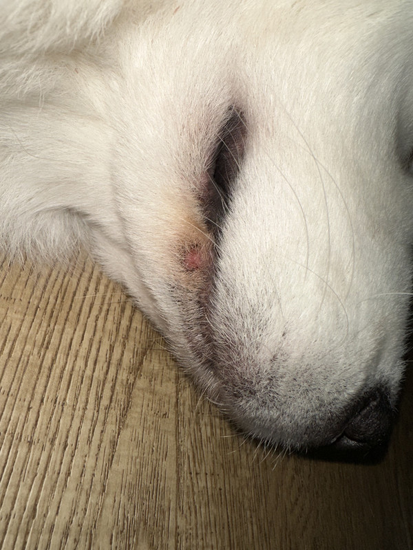 047F2CFA-476B-4EA2-8A98-E2921BA04A06