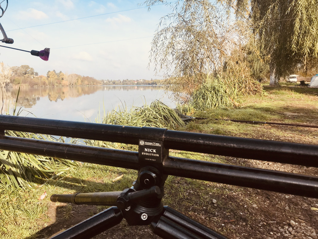 59C4C392-6204-4C77-BD6B-7AAA51E11C4E