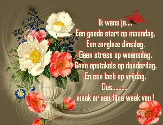 555952919-786790257435457-9040658339043286620-n