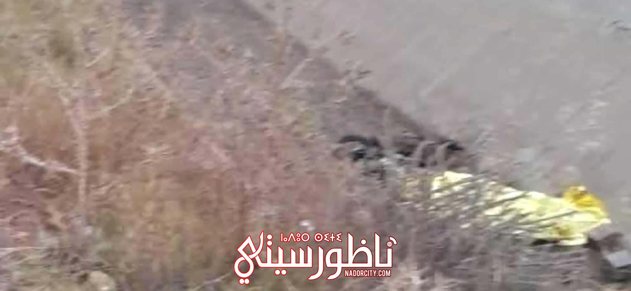 521999372-1084590039790617-1253489024234104105-n