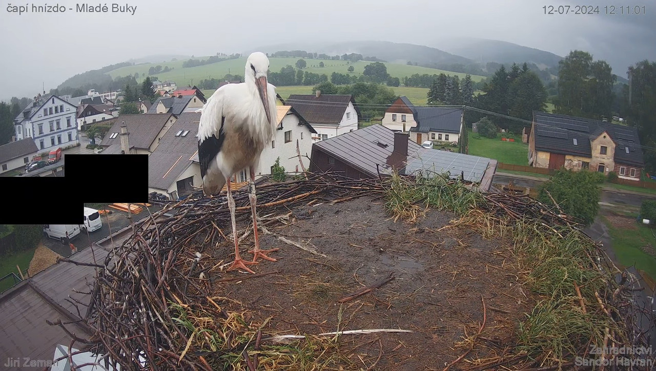 Tiešraides kamera — Mladé Buky — stārķa ligzda 13-32-58 screenshot