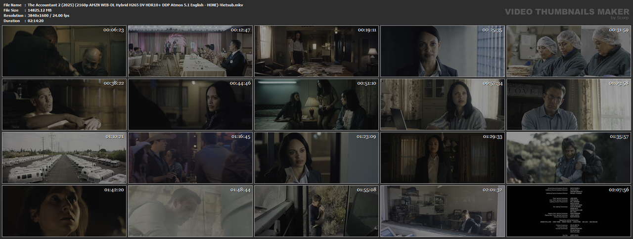 The Accountant 2 (2025) (2160p AMZN WEB-DL Hybrid H265 DV HDR10  DDP Atmos 5.1 English - HONE)-Viets