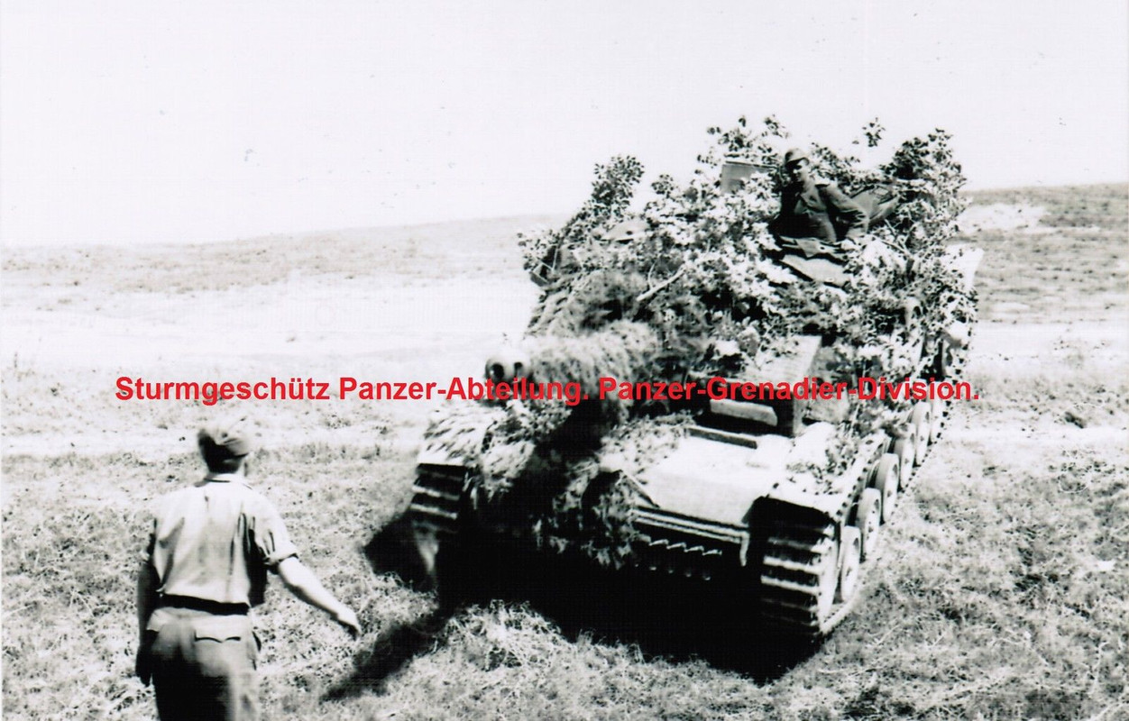 Sturmgeschütz. Panzer-Abteilung. Panzer-Grenadie