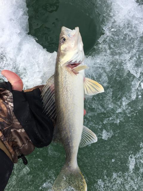 4F615034-0CF3-49AF-B4C8-BEE40A01FE44