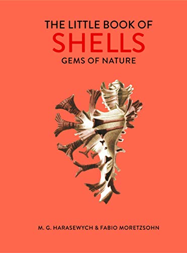 The Little Book of Shells: Gems of Nature The Little Book of Shells: Gems of Nature