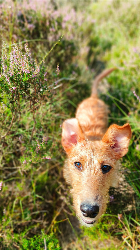 Lumii_20250810_164529619