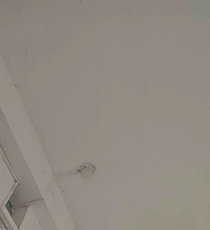 1272287601672724301