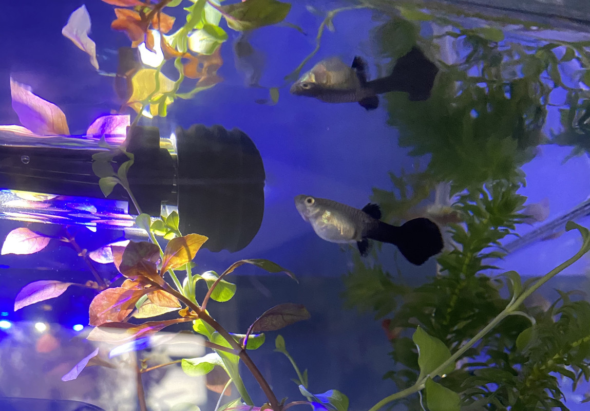 31219908-5849-4763-B976-144DCB1E6934