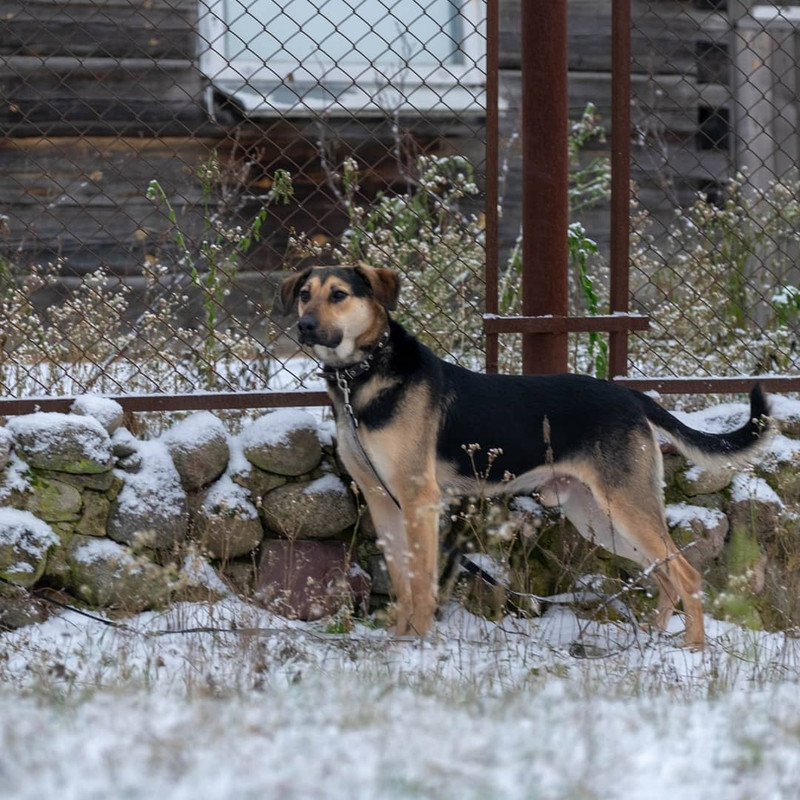 IMG_20210104_191745_505