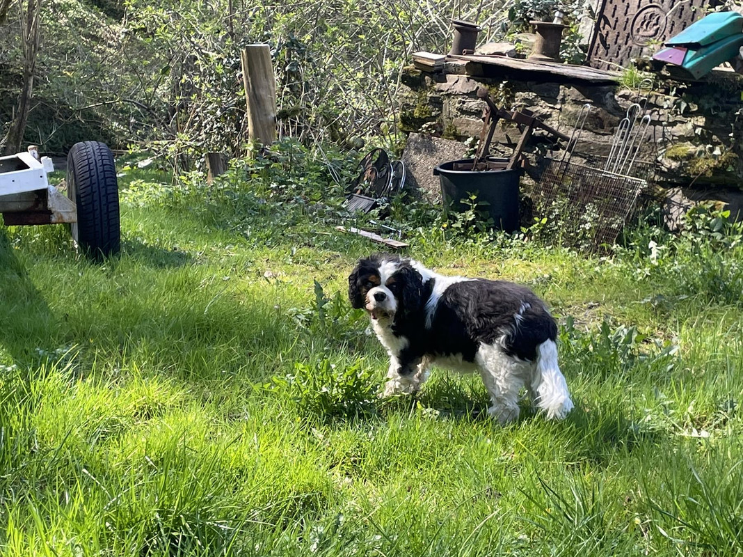 AF582EFD-EBA3-4195-B306-93A88038A4D9