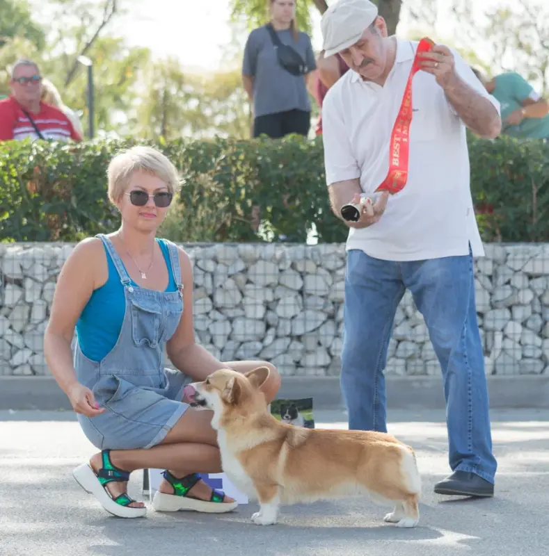 бюНИОРОВ 1 МЕСТО