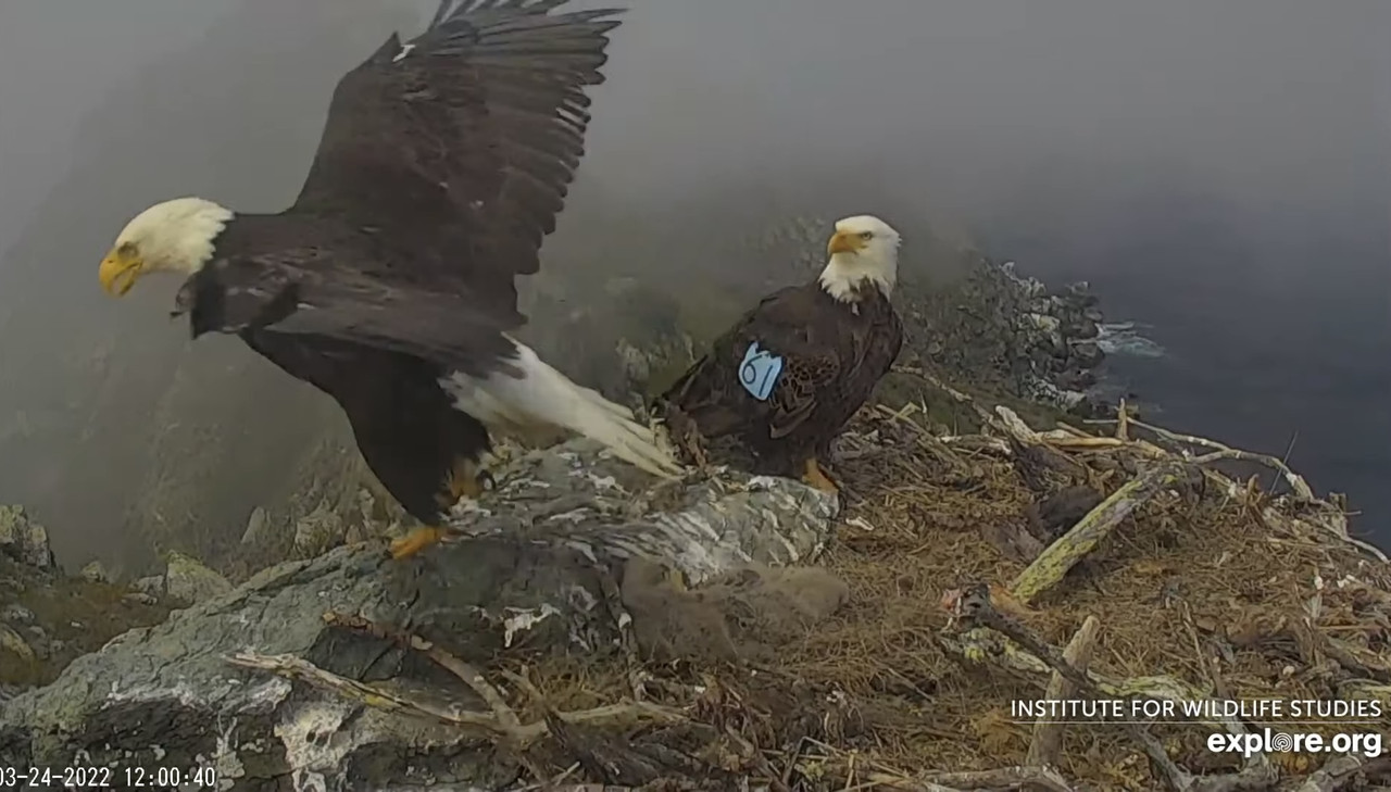 0735AD63-636A-49DE-9B45-AD4A3E441638