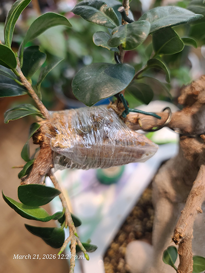 [Image: 20260321-122729.jpg]