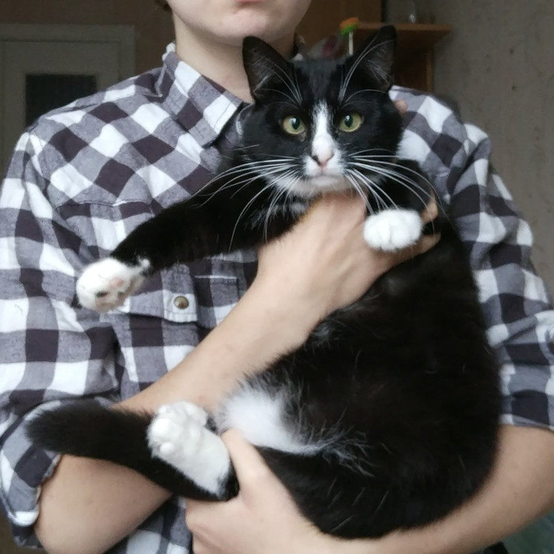 изображение_viber_2021-09-22_15-38-57-594