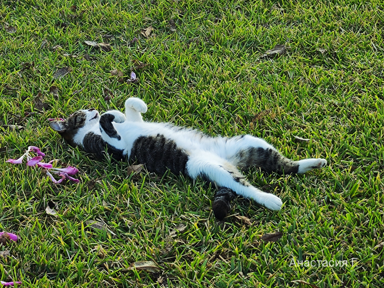 От Антальи на восток (до Мардина и Диярбакыра) + Анкара, ноябрь 2025.