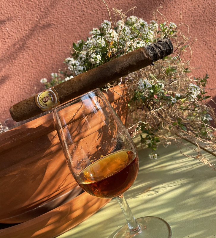 C3096DC6-37E0-4816-BF03-747ABA5744F4