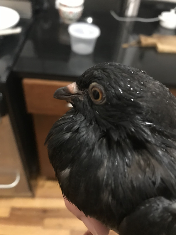 008A3613-3549-4151-BCA3-10C4B3D60762