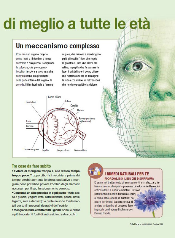 Cur Mang Ott 2022 (8)