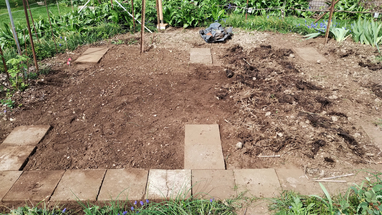 240407_Kartoffelbeete (Versuch) rechts 1j Mist