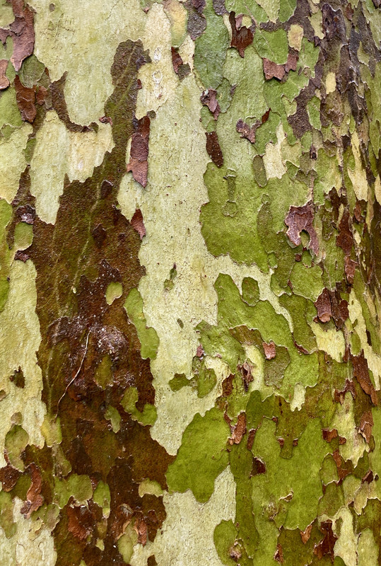 DC62DACF-D28C-4905-A7E7-42E5260AA0FE