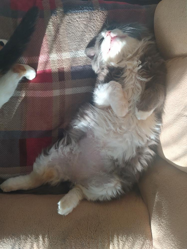 F8169960-4215-4766-9AF3-C1182195446B