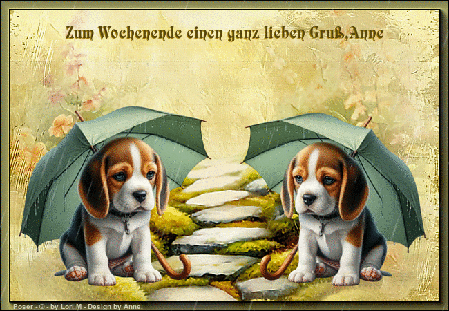 An den Beitrag angehängtes Bild: https://i.postimg.cc/Mp7ktj8Q/tu-T6wwscw-Tyg.gif