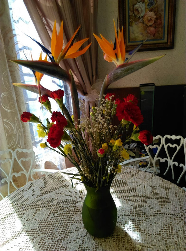 IMG-20191122-WA0004