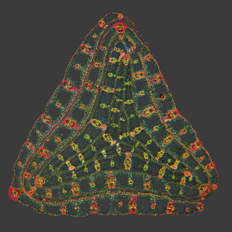 5x DMap TPnd 2048