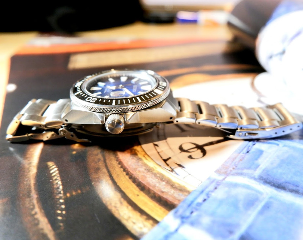 King Turtle Side View