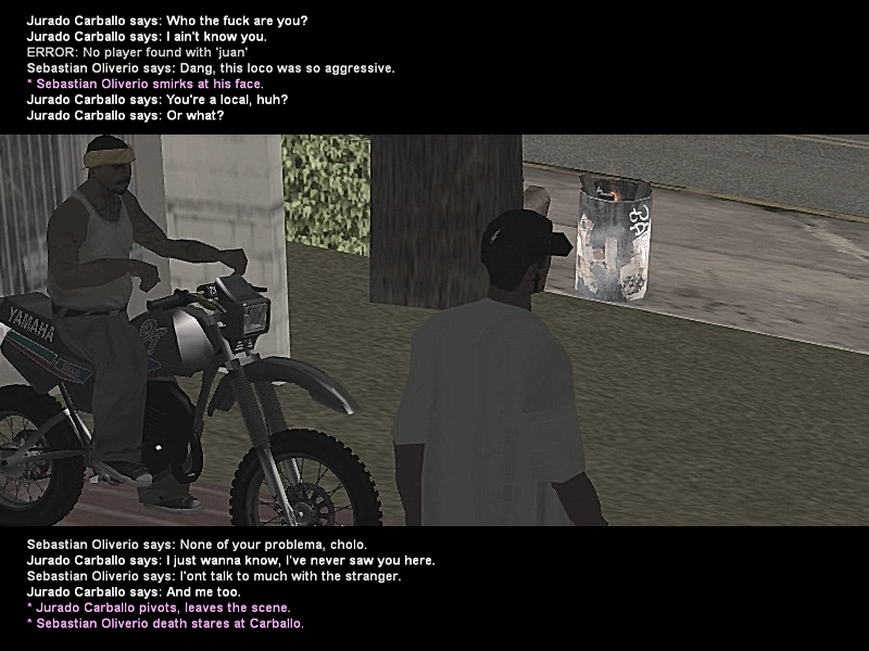 SS1.png