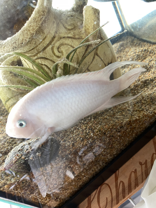 F47FDC98-F998-4A31-946D-C69DF42DC93E