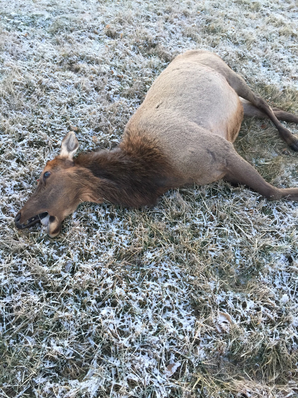 873E77C1-5816-464E-9175-E8E37FBB67DE