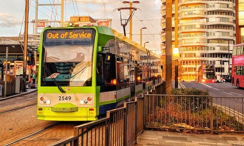 Detenido en Londres menor que arrancó cabello del cuero a mujer en ataque racial