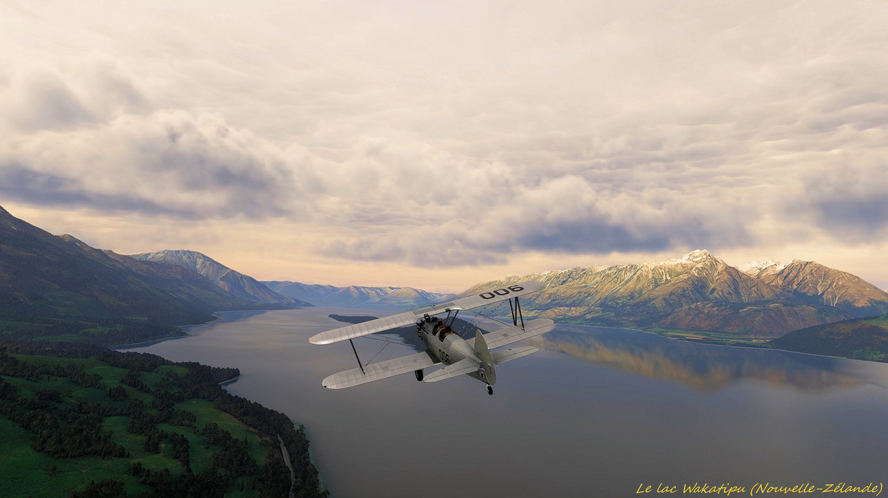 NZ-45-m.jpg