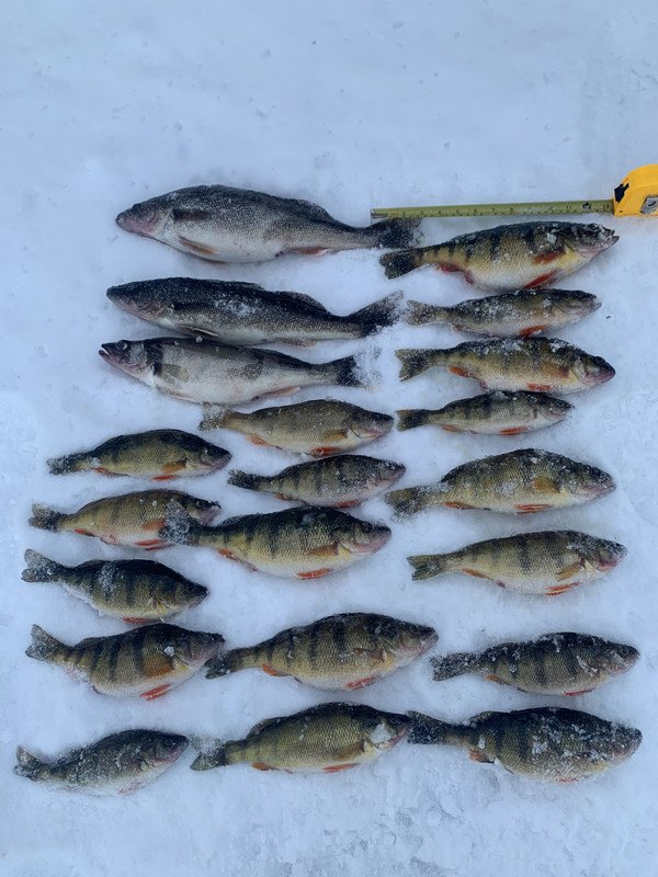 D0B8118B-F62E-477E-9DA8-B7C704BAB687