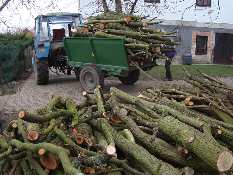 úklid dřeva 006 zm