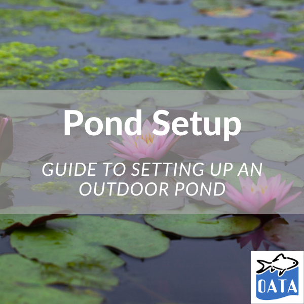 OATA Guide to Setting up a Pond - Lincs Aquatics 2022. 