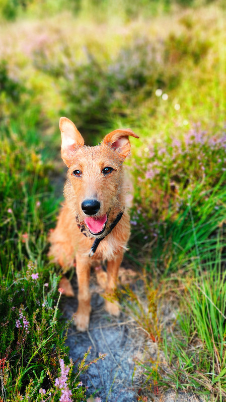 Lumii_20250810_164753281