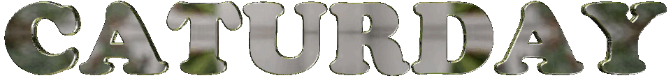 C-2