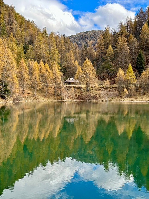 31ec6918 1a15 4471 a011 16c5b824ac2a