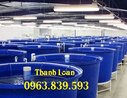 Thùng nhựa vuông 500lit, tank nhựa 500l chữ nhật, thùng nhựa nuôi cá / 0963.839.593 Ms.Loan Thung-nhua-nuoi-ca-giong-tom-giong-thung-nhua-nuoi-luon-1