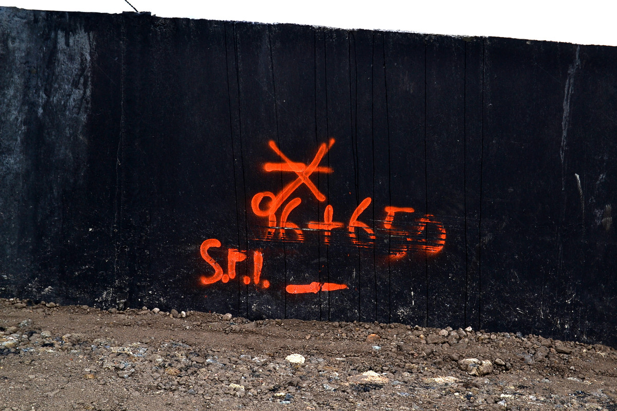 DSC_9300