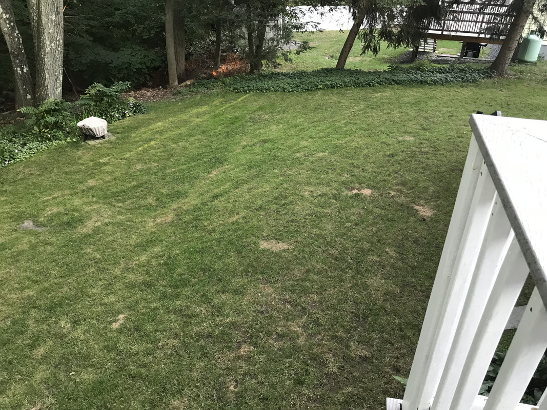 05A44E91-E989-41A8-BBB3-ACB90A835E71