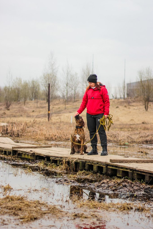 без имени-0080