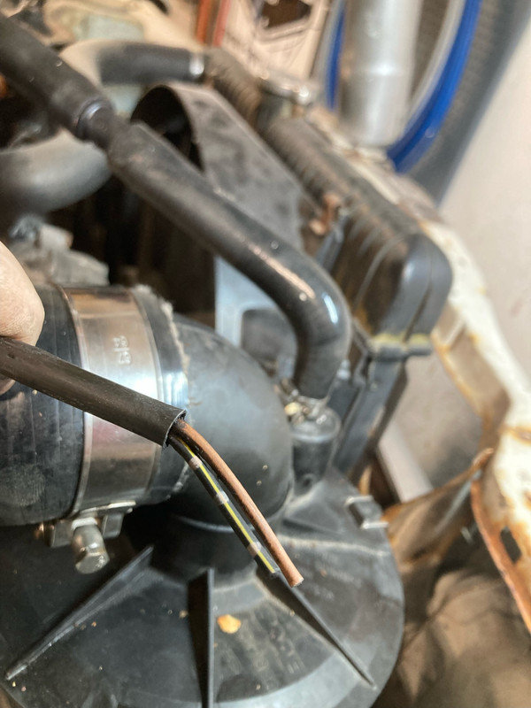 thumbnail_image1 (1)