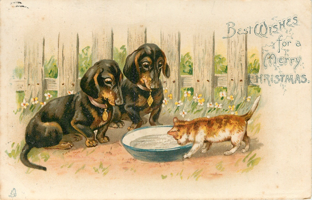 44-2011-12-10-13-27-41