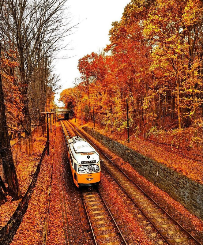 Screenshot_20231206_222100_Instagram