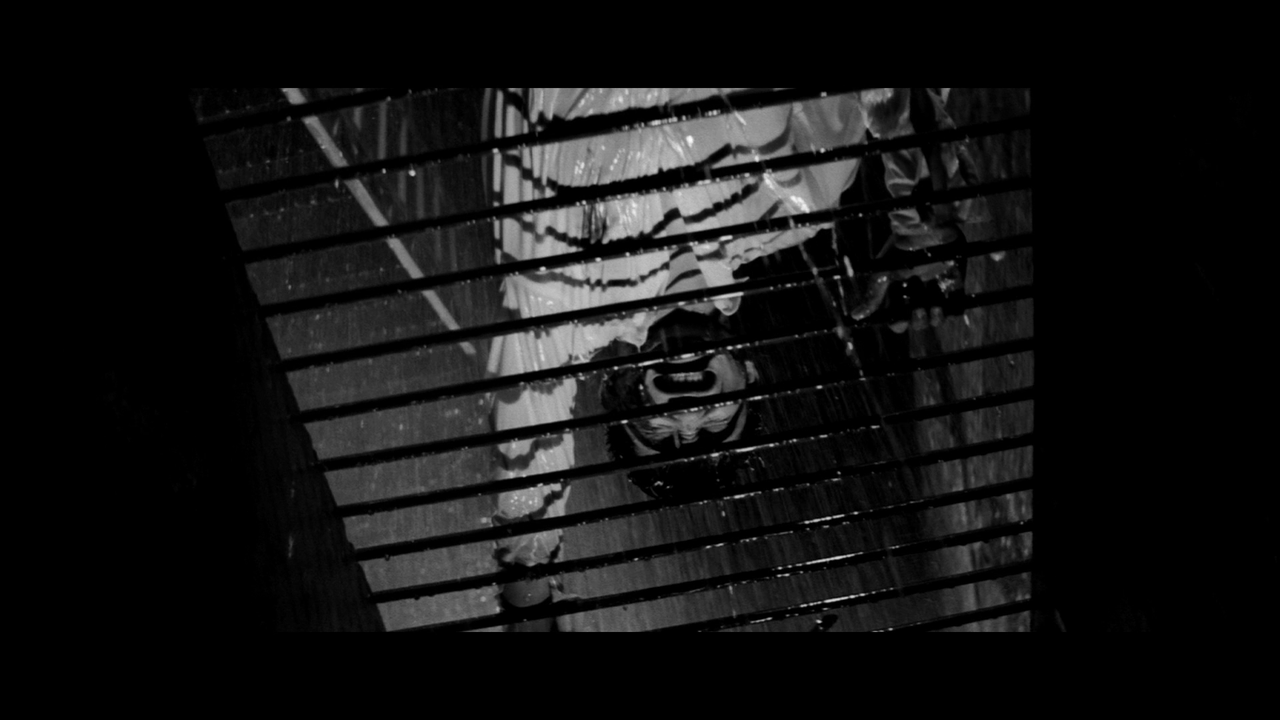 vlcsnap-2025-07-13-02h42m41s532