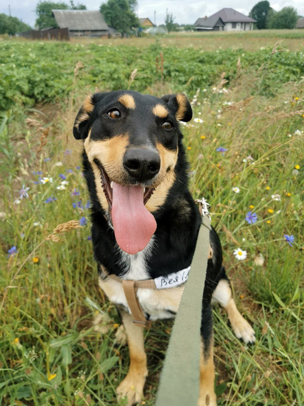 photo_2023-06-29_20-49-51