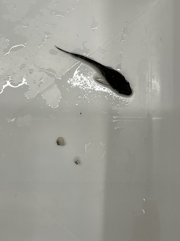 C36C519E-CAED-44A6-8704-1BD3FB4C31C2